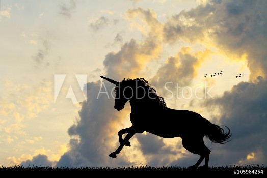 Bild på Unicorn silhouette at sunset
